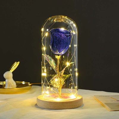 Valentines Day Gift  For Girlfriend Eternal Rose Flowers LED Light In Glass Cover Day Wedding Decoration Favors Mother Day Female Gift  Gift Nexora Store
