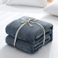 Household Simple Solid Color Coral Fleece Blanket Nexora Store
