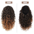Wig Ponytail Wig Female African Small Curls Nexora Store