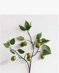 Home Moderne Minimalistische Woonkamer Veranda Huisdecoraties Ritchy's Shop