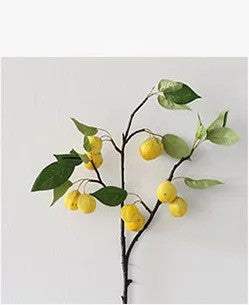 Home Moderne Minimalistische Woonkamer Veranda Huisdecoraties Ritchy's Shop