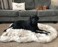 Beige pluchen hondenmat met zwarte hond liggend op zachte huisdiervacht naast bank met kat