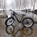 Professionele elektrische fiets voor volwassenen, 26 x 4,0 inch dikke elektrische mountainbike, 1000W Mijn winkel