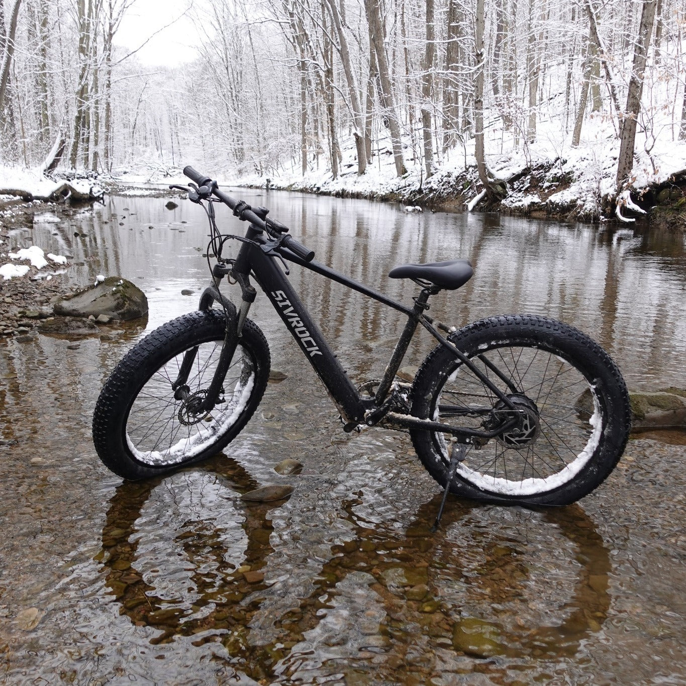 Professionele elektrische fiets voor volwassenen, 26 x 4,0 inch dikke elektrische mountainbike, 1000W Mijn winkel