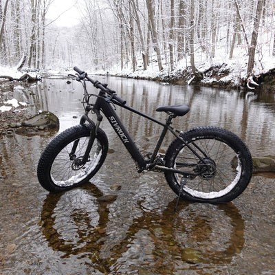 Professionele elektrische fiets voor volwassenen, 26 x 4,0 inch dikke elektrische mountainbike, 1000W Mijn winkel