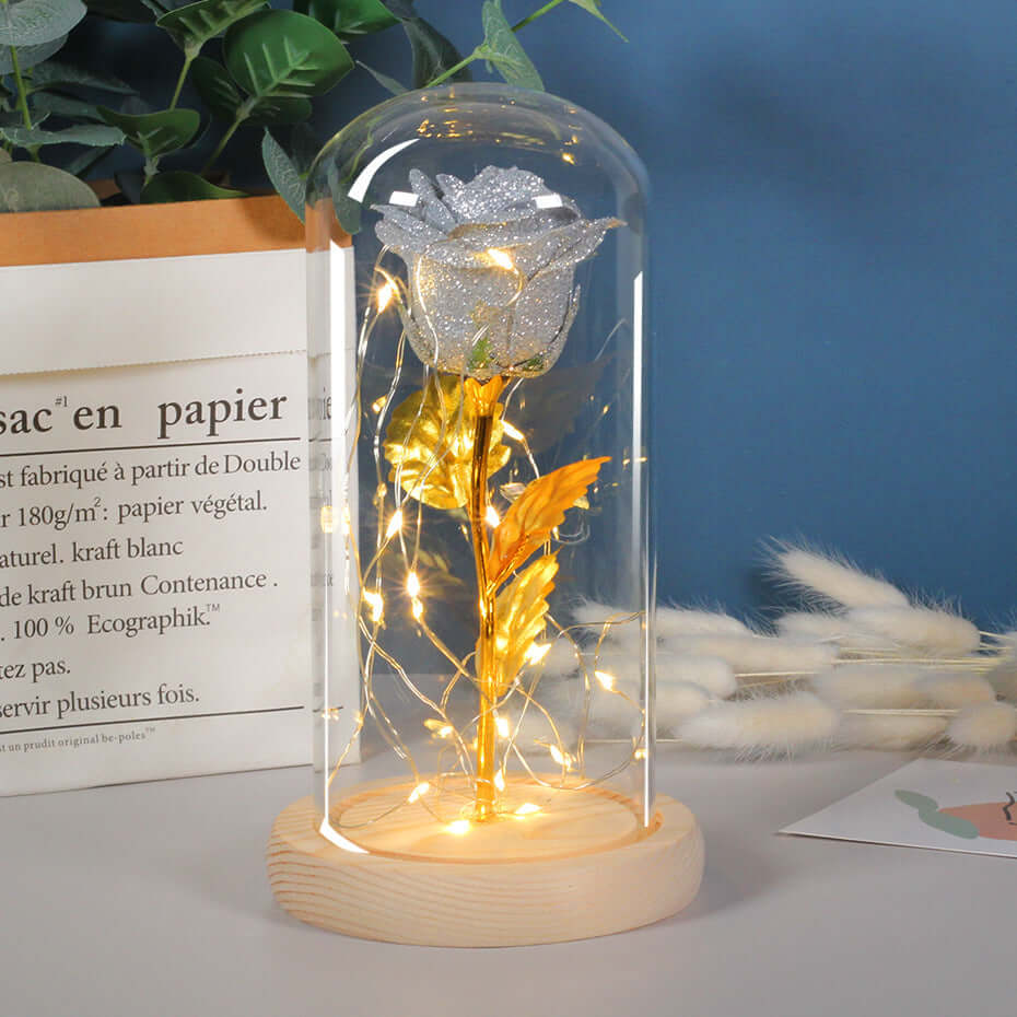 Valentines Day Gift  For Girlfriend Eternal Rose Flowers LED Light In Glass Cover Day Wedding Decoration Favors Mother Day Female Gift  Gift Nexora Store