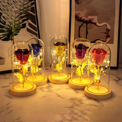 Valentines Day Gift  For Girlfriend Eternal Rose Flowers LED Light In Glass Cover Day Wedding Decoration Favors Mother Day Female Gift  Gift Nexora Store