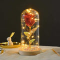 Valentines Day Gift  For Girlfriend Eternal Rose Flowers LED Light In Glass Cover Day Wedding Decoration Favors Mother Day Female Gift  Gift Nexora Store