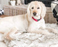 Beige pluchen hondenmat voor huisdieren Ritchy's Shop