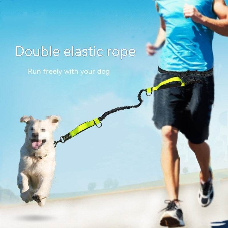 Multifunctional pet leash with double elastic rope for running with dog in sapphire blue and fluorescent green colors