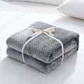 Household Simple Solid Color Coral Fleece Blanket Nexora Store