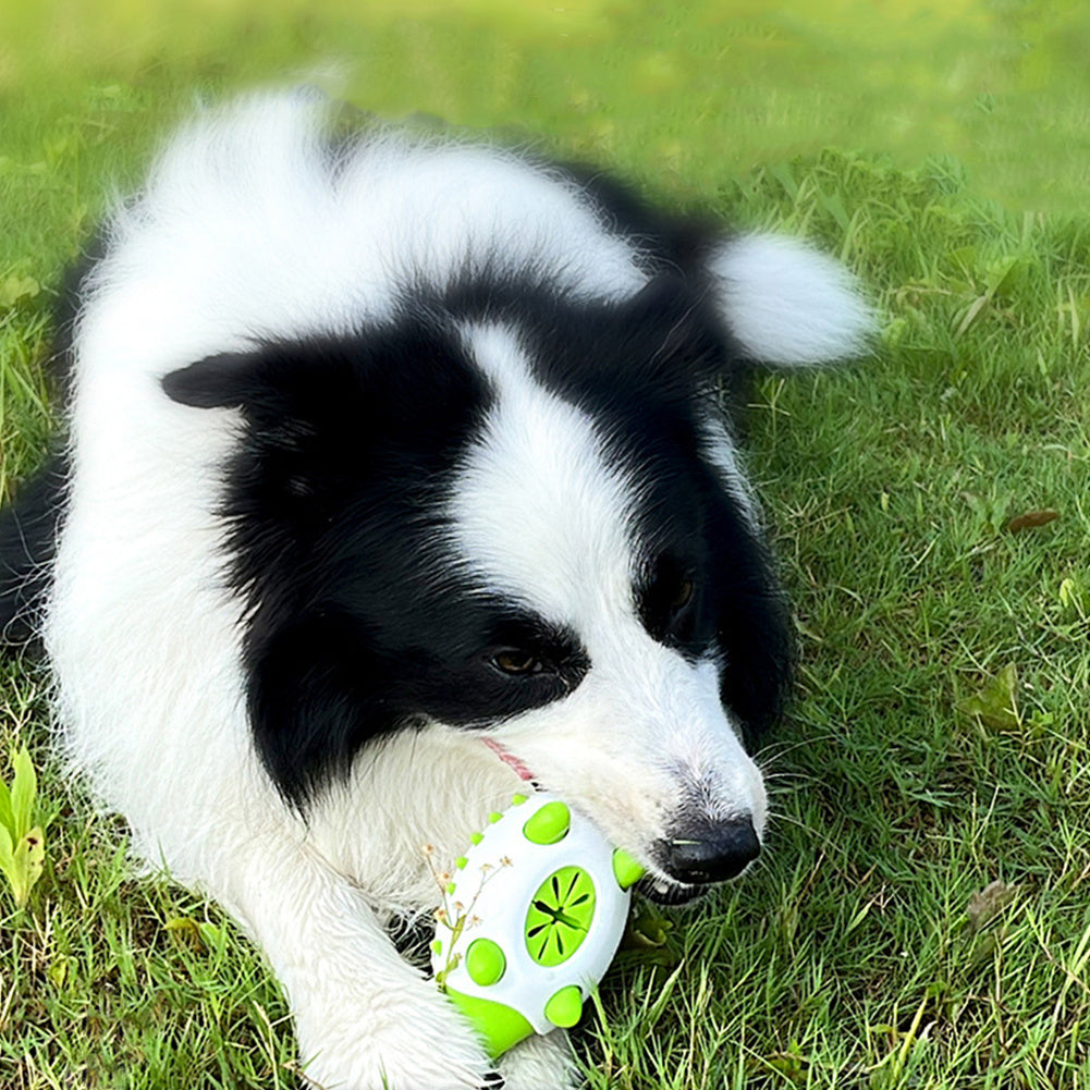 Interactief TPR-speelgoed voor honden, lekkend voer voor kleine en grote honden, kauwspeeltjes voor katten, tandenpoets voor huisdieren, onverwoestbaar puppy-speelgoed Ritchy's Shop