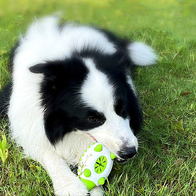 Interactief TPR-speelgoed voor honden, lekkend voer voor kleine en grote honden, kauwspeeltjes voor katten, tandenpoets voor huisdieren, onverwoestbaar puppy-speelgoed Ritchy's Shop