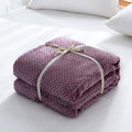 Household Simple Solid Color Coral Fleece Blanket Nexora Store