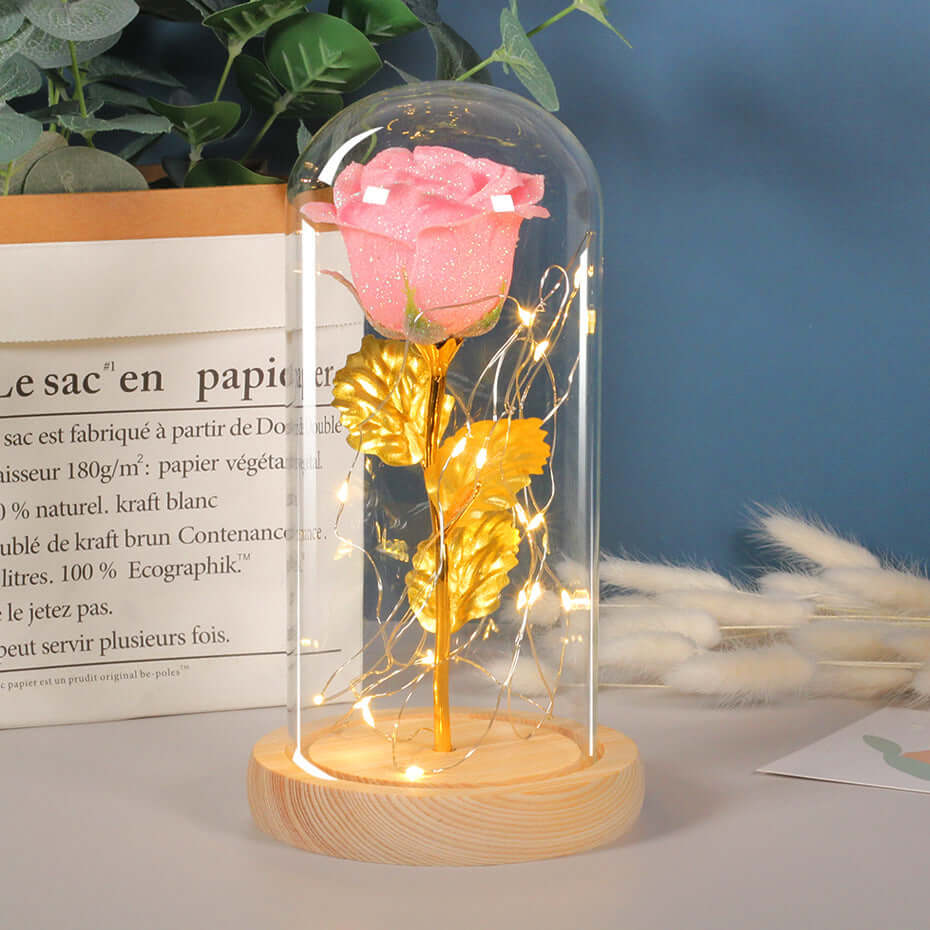 Valentines Day Gift  For Girlfriend Eternal Rose Flowers LED Light In Glass Cover Day Wedding Decoration Favors Mother Day Female Gift  Gift Nexora Store