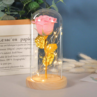 Valentines Day Gift  For Girlfriend Eternal Rose Flowers LED Light In Glass Cover Day Wedding Decoration Favors Mother Day Female Gift  Gift Nexora Store