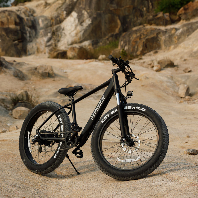 Professionele elektrische fiets voor volwassenen, 26 x 4,0 inch dikke elektrische mountainbike, 1000W Mijn winkel
