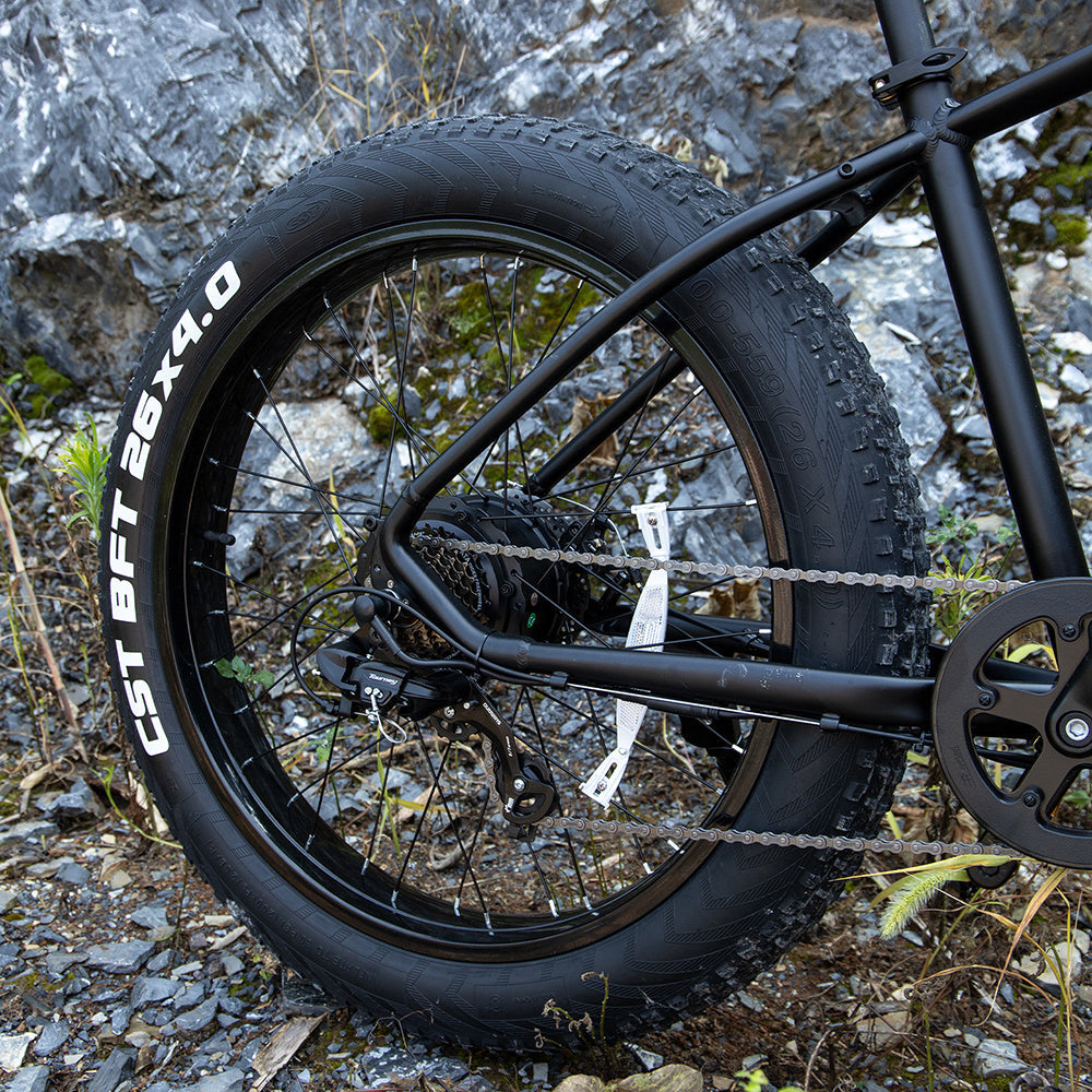 Professionele elektrische fiets voor volwassenen, 26 x 4,0 inch dikke elektrische mountainbike, 1000W Mijn winkel